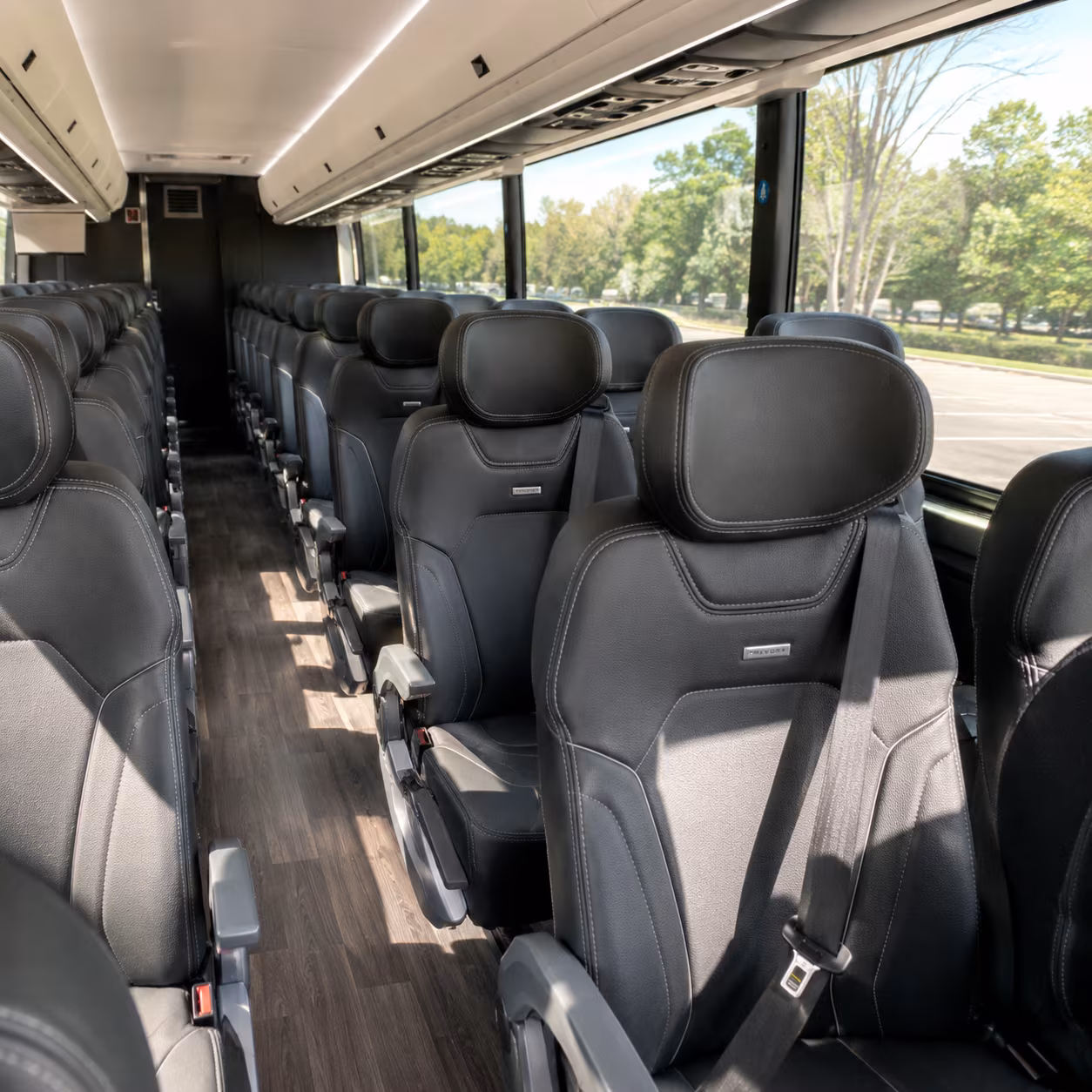 secure transportation for your next bachelor or bachelorette party 3
